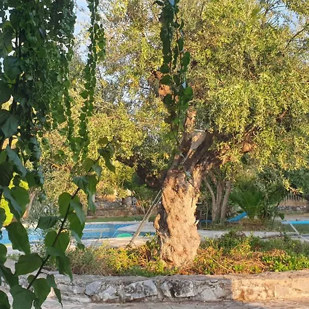 Eco-wellness